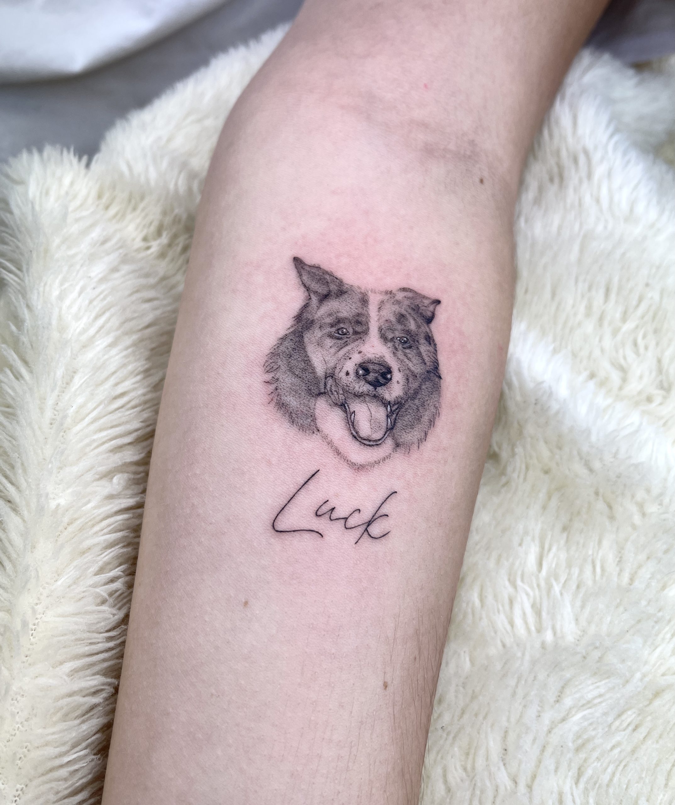 Tatuagem cachorro mini realismo no braço