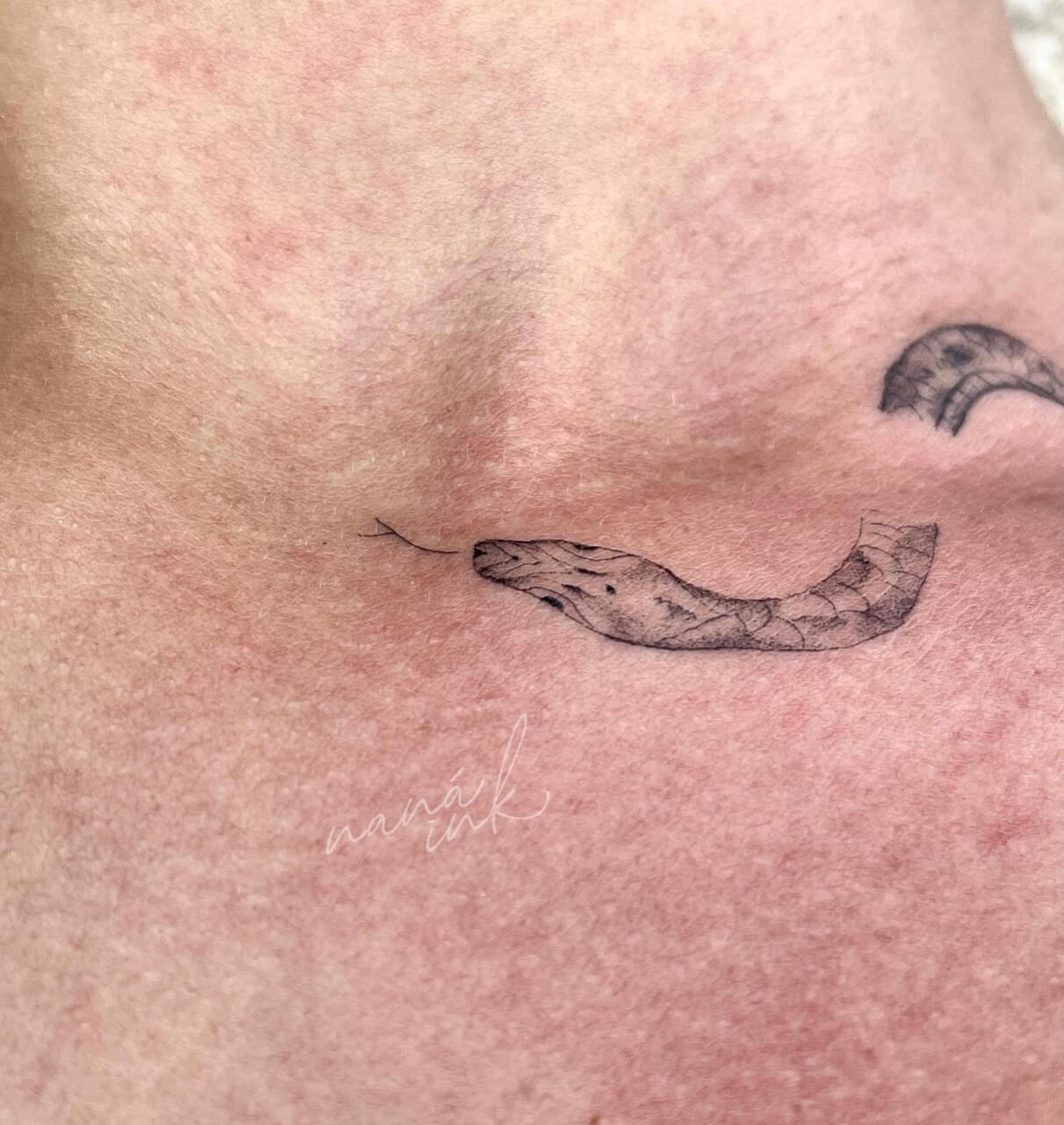 Tatuagem Cobra na Clavícula