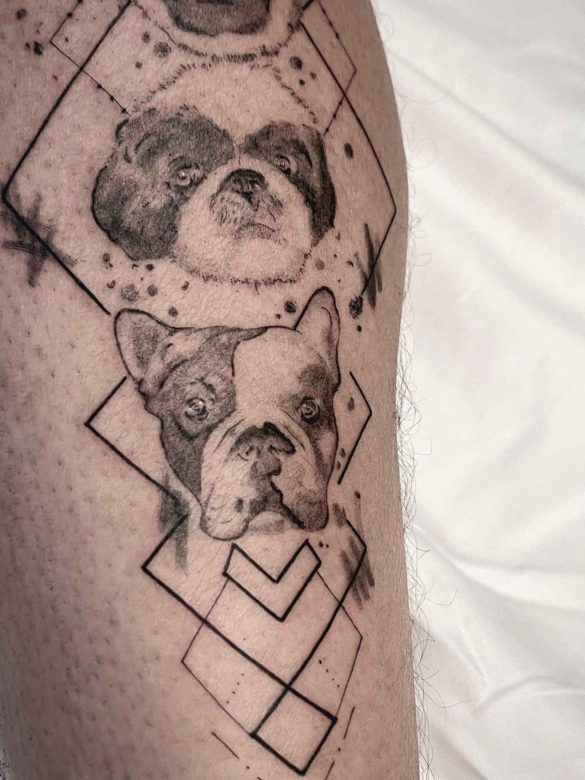 cc86ffac-cf5d-4712-87fb-b9aca7f3ad78